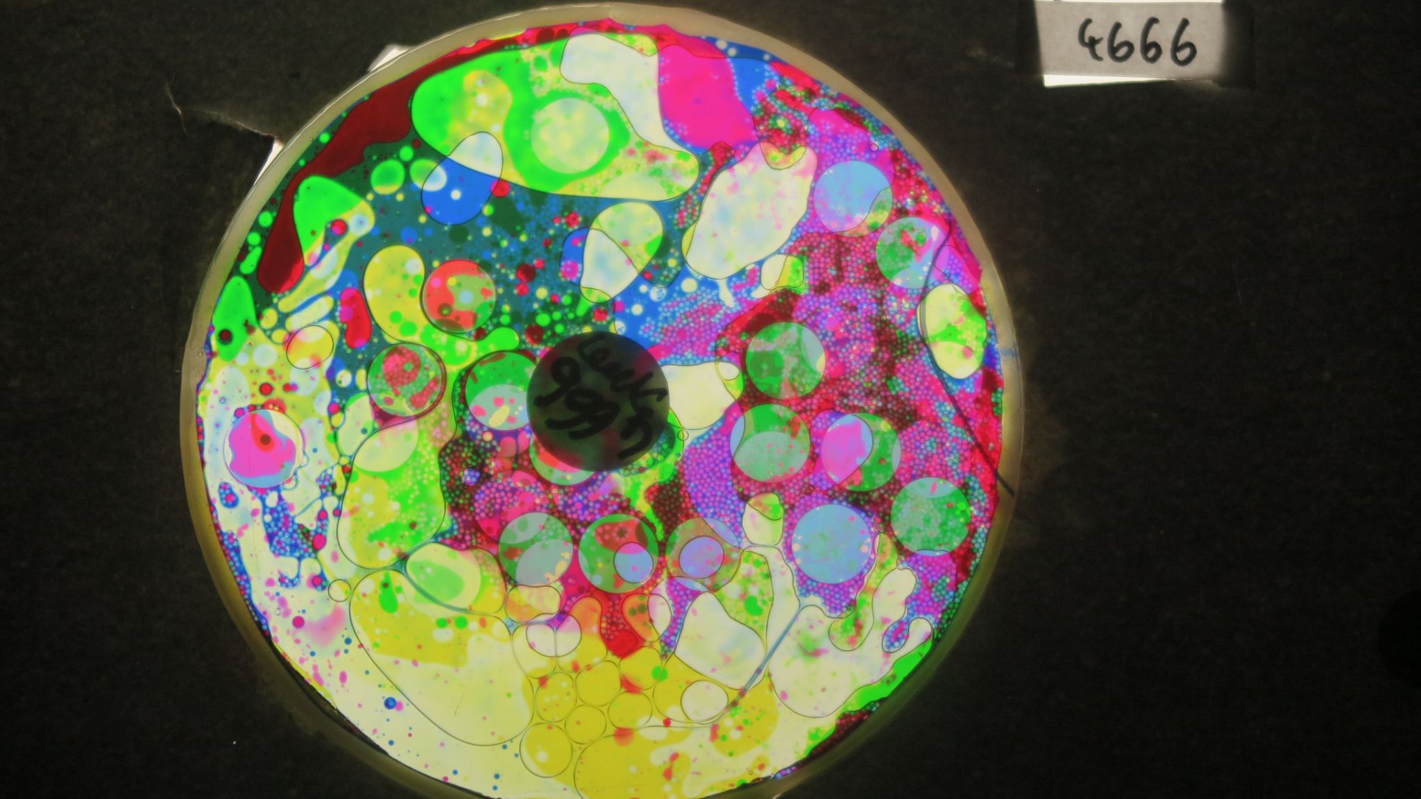 BV4666 bubble vision oil wheel